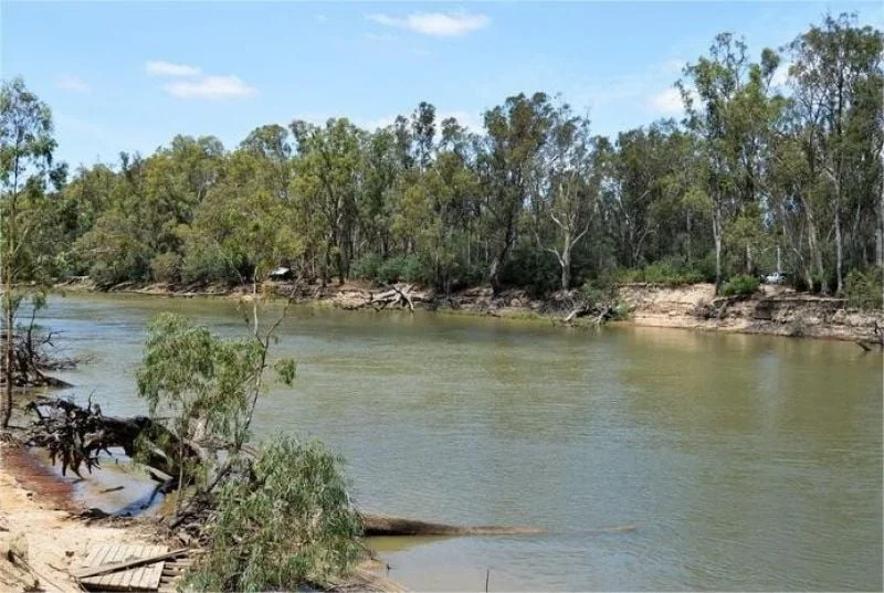 Image 12
