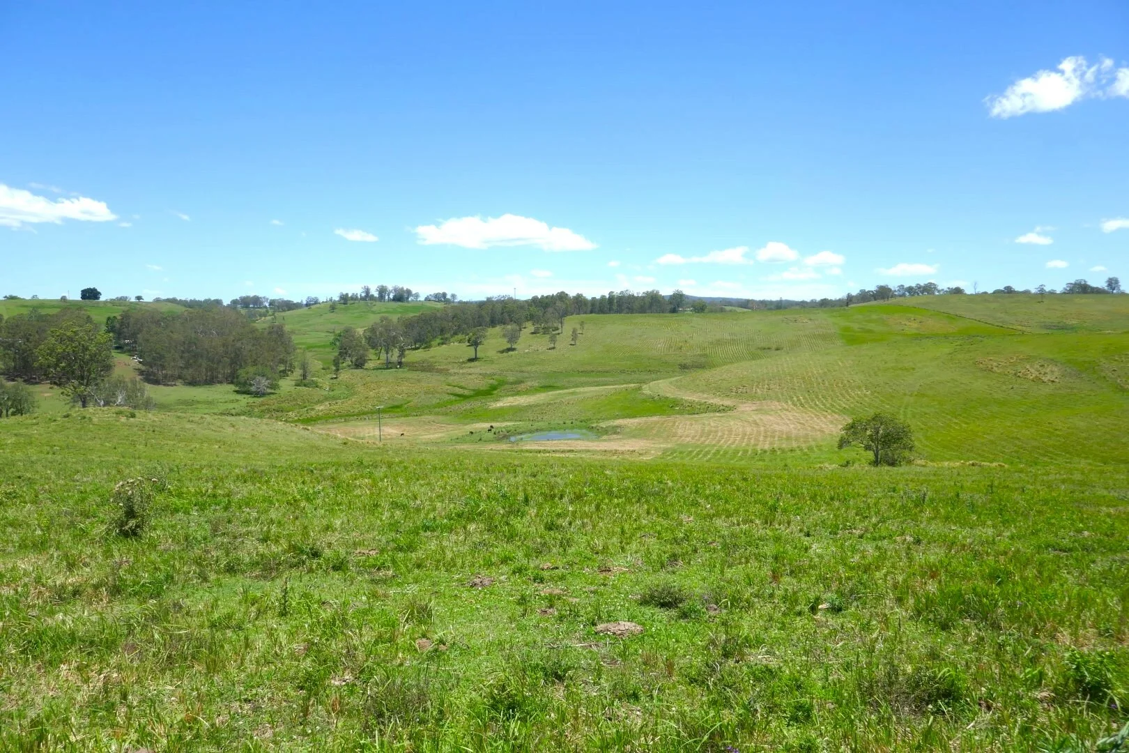 Image 11