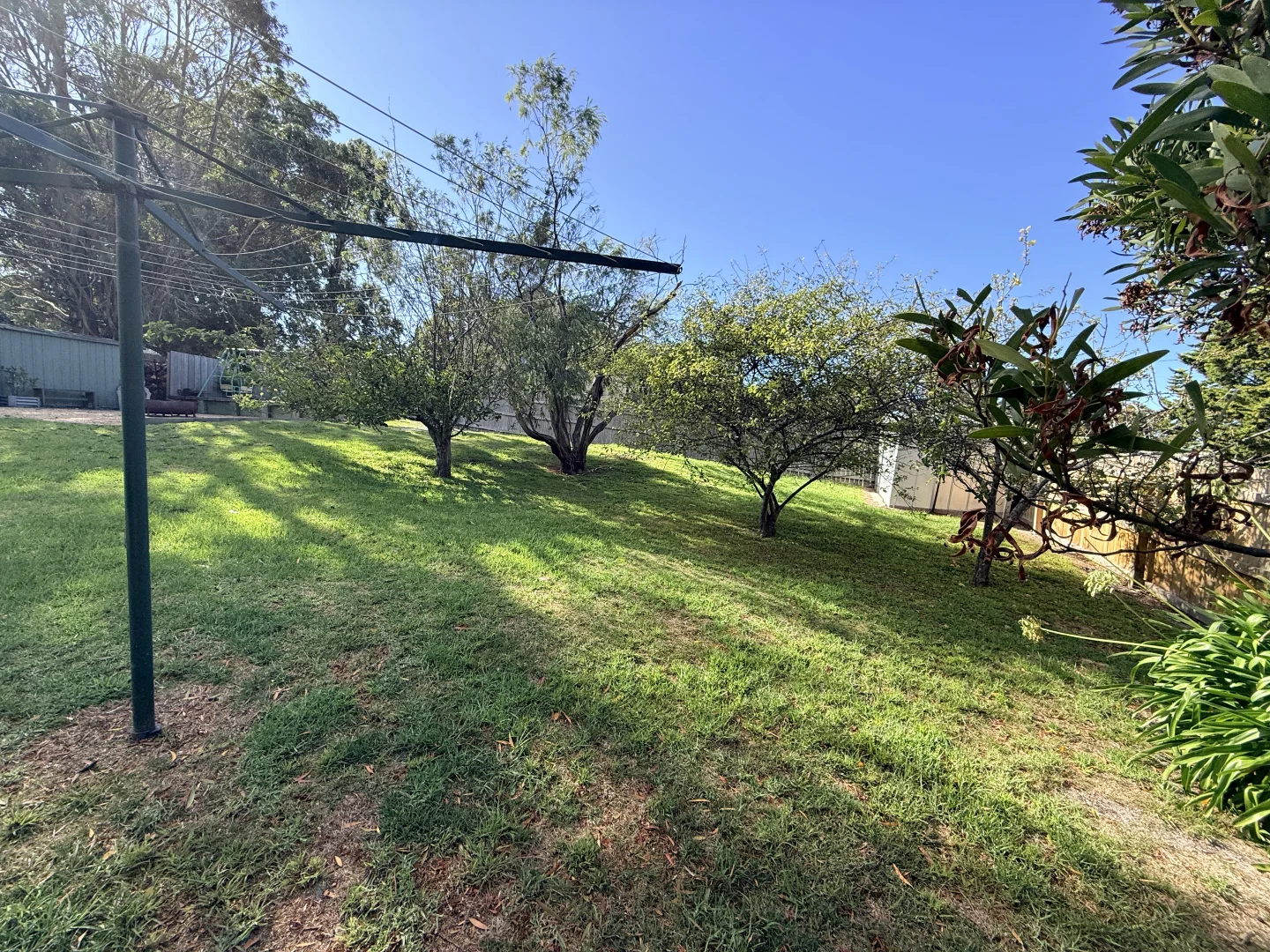 Additional image 15 of 29 Penelope Street, St Helens TAS 7216