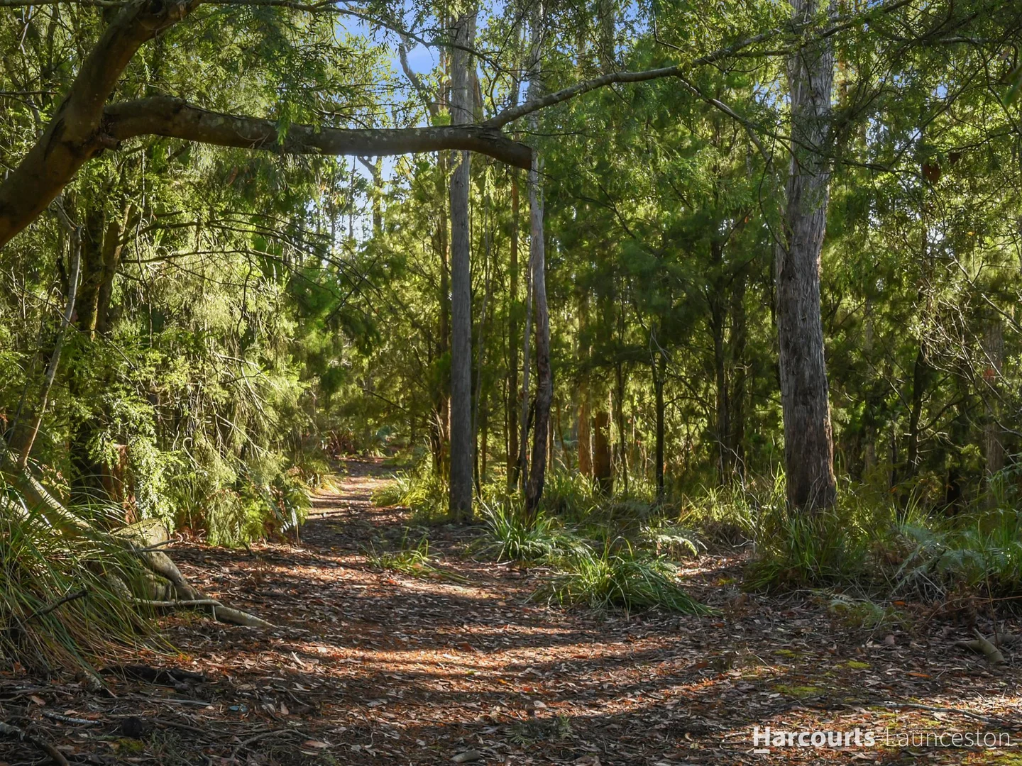 Additional image 23 of 47 Jay Dee Road, Glengarry TAS 7275