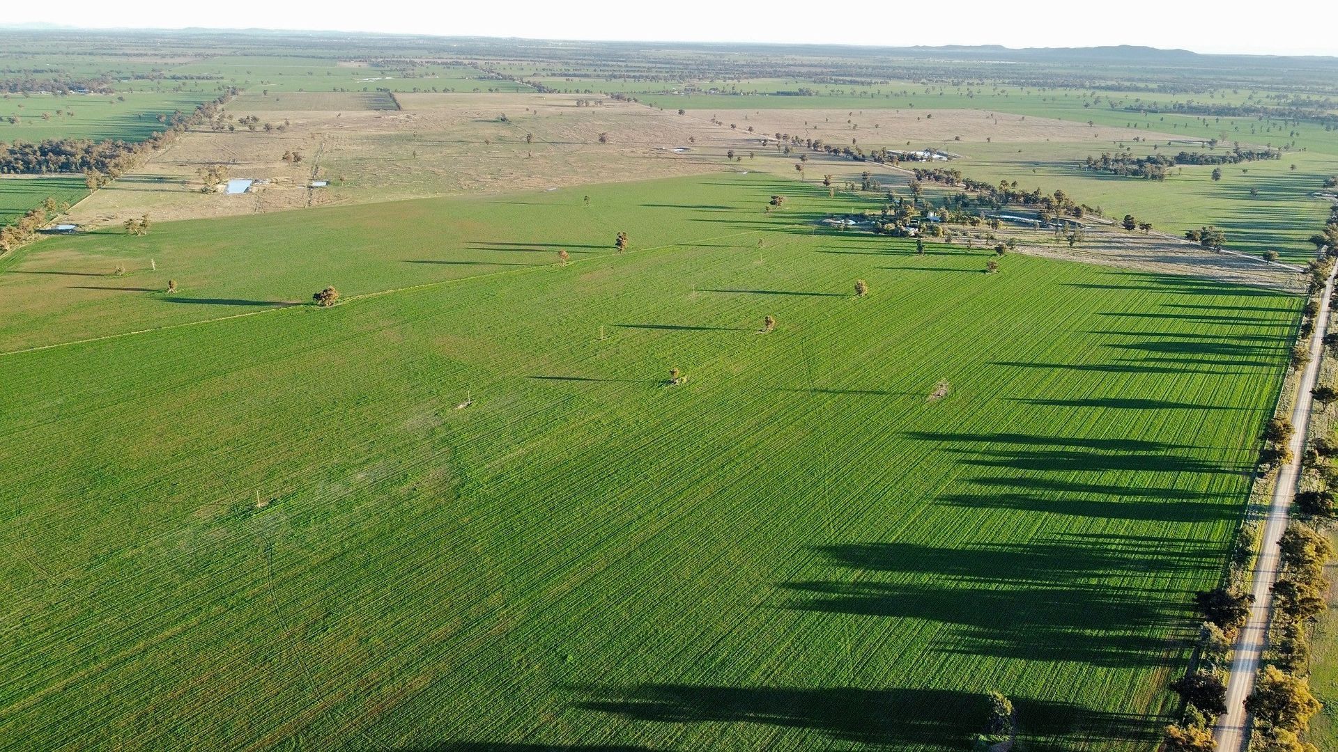 Longhurst Road, Bribbaree NSW 2594 - House for Sale | Domain