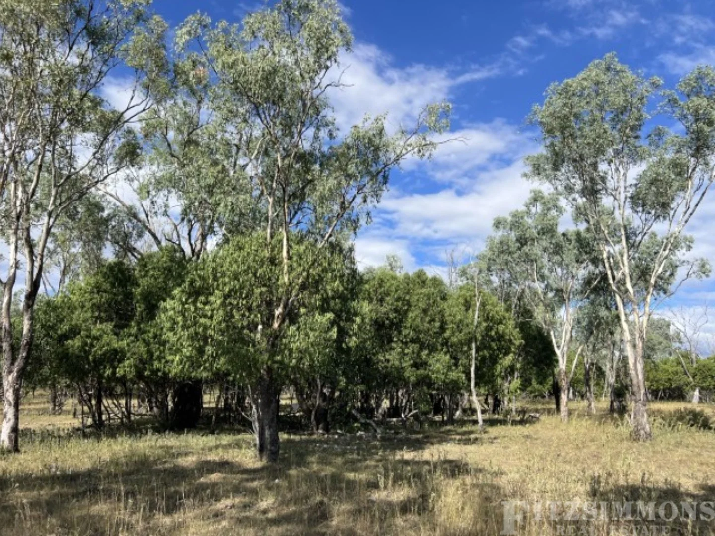 Image 15