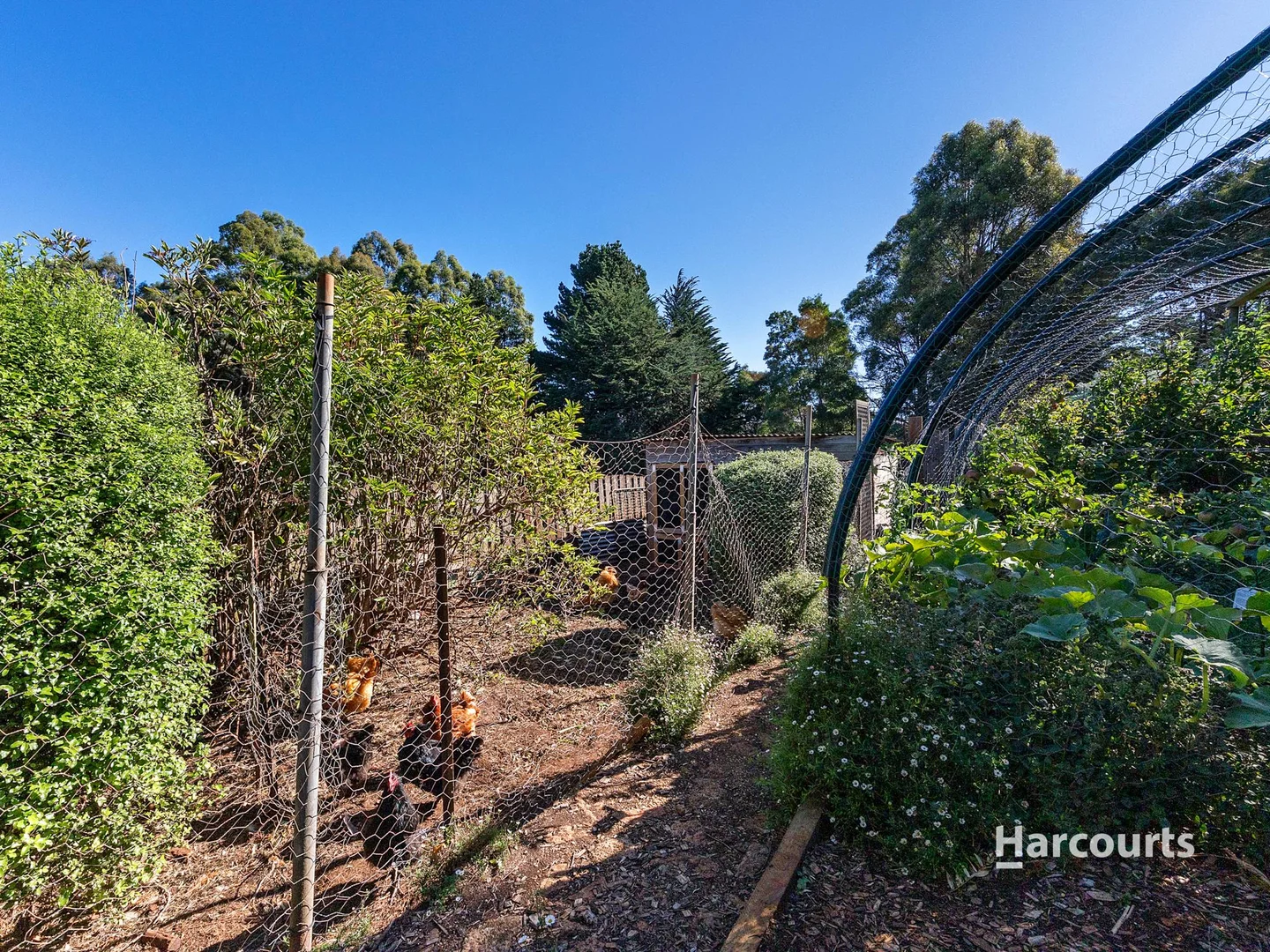 Additional image 22 of 3 Ramsden Street, Somerset TAS 7322