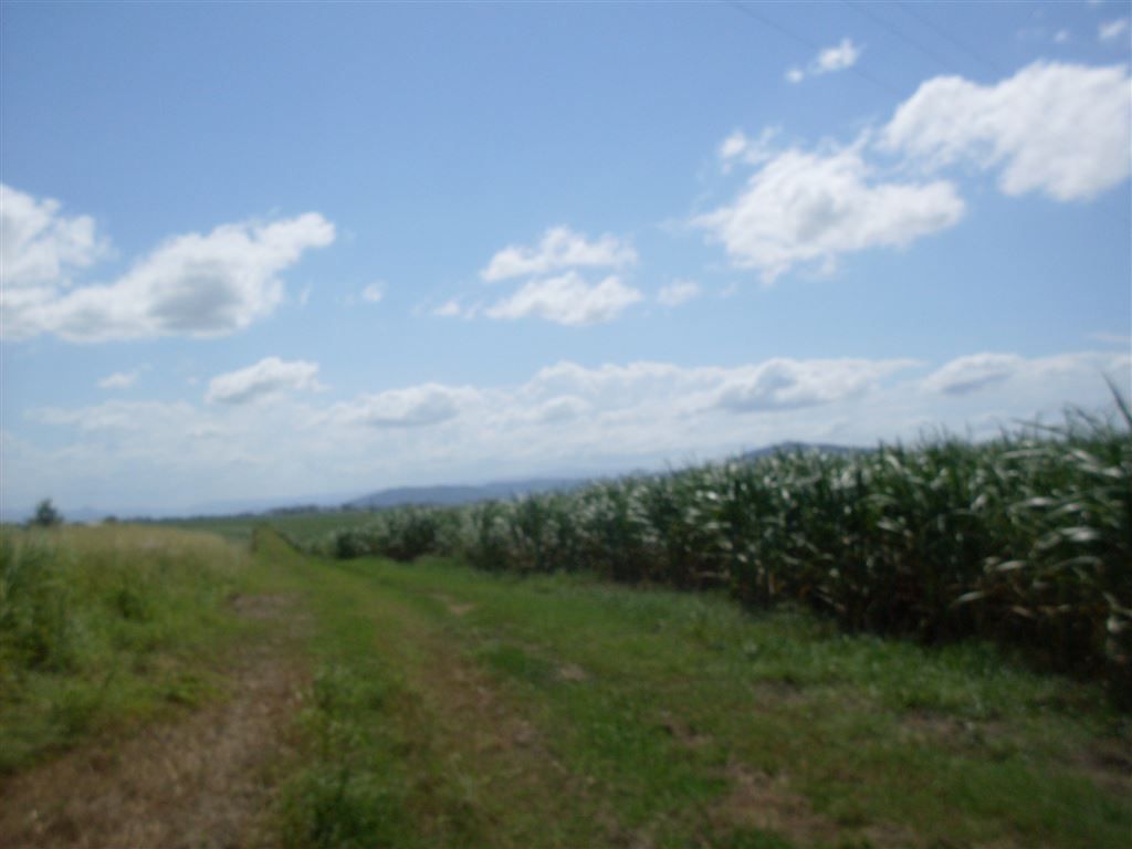 Lot 22 Formosas Road, Pleystowe QLD 4741, Image 0