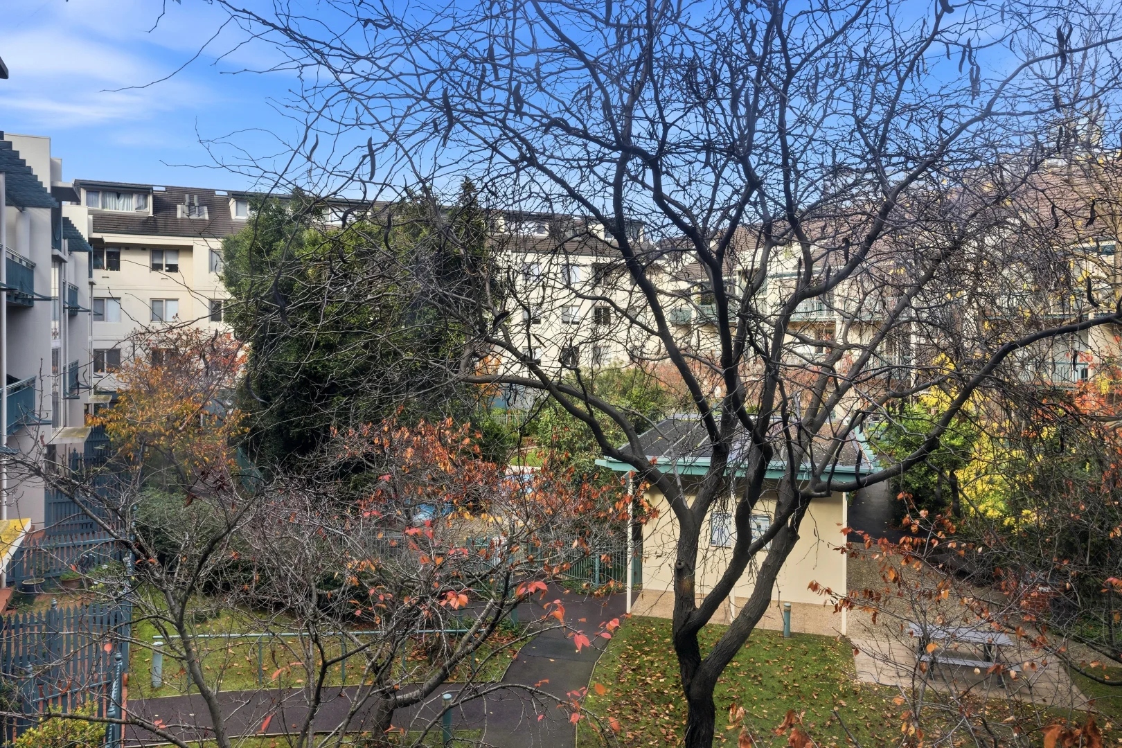 Image 11