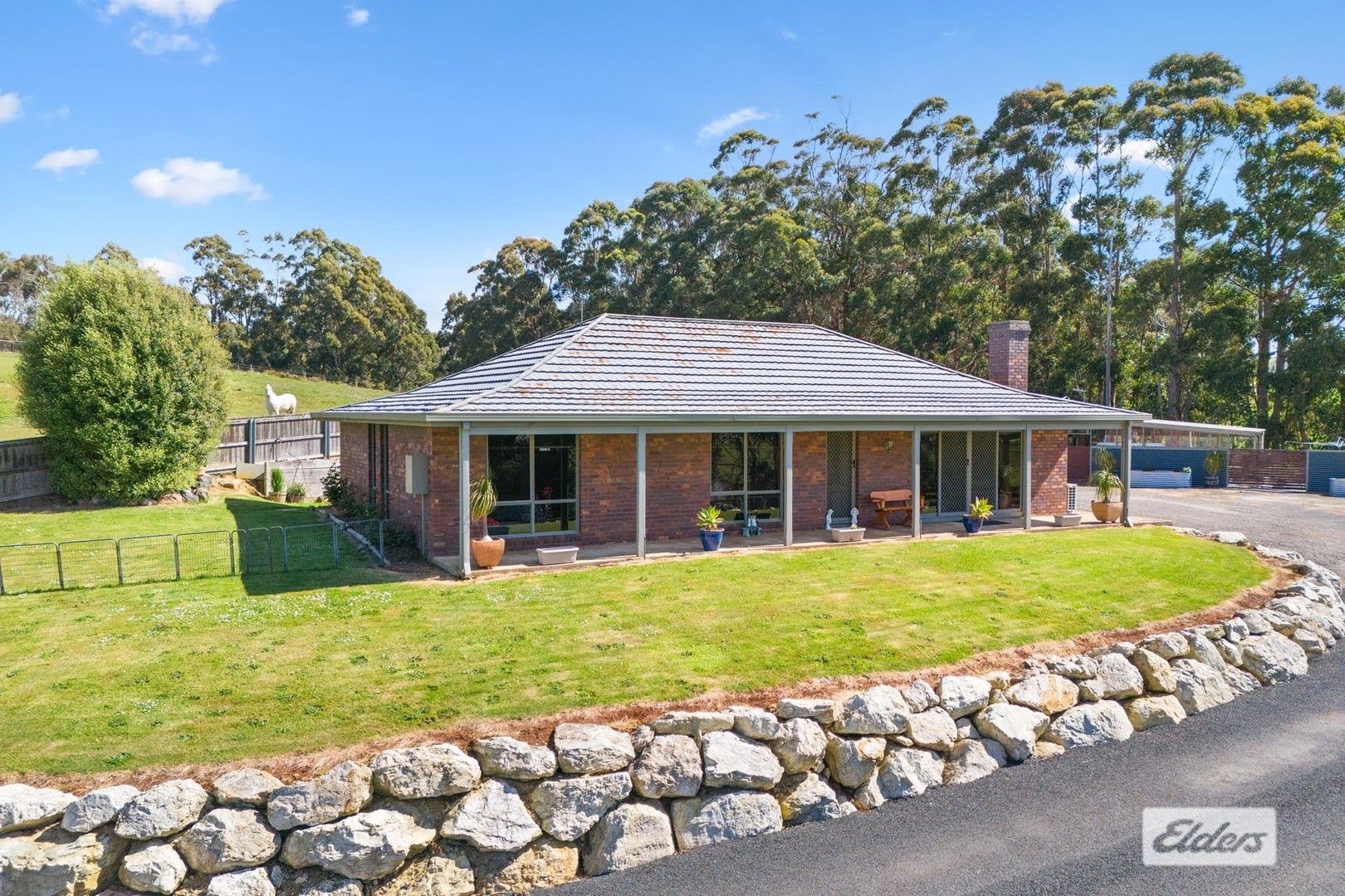 3 bedrooms Rural in 78 Deviation Road PENGUIN TAS, 7316