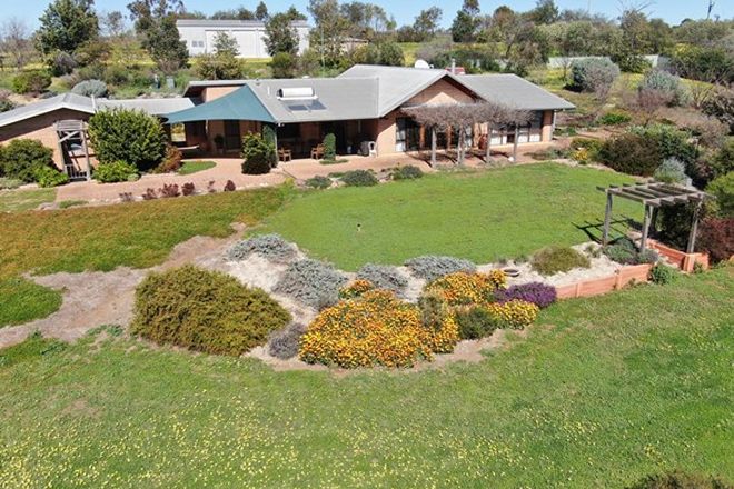 17 Rural Properties For Sale In Junee Nsw 2663 Domain