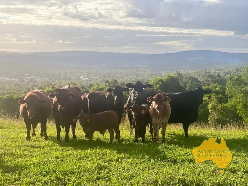 Additional image 25 of 6, . RURAL ROAD, Nanango QLD 4615