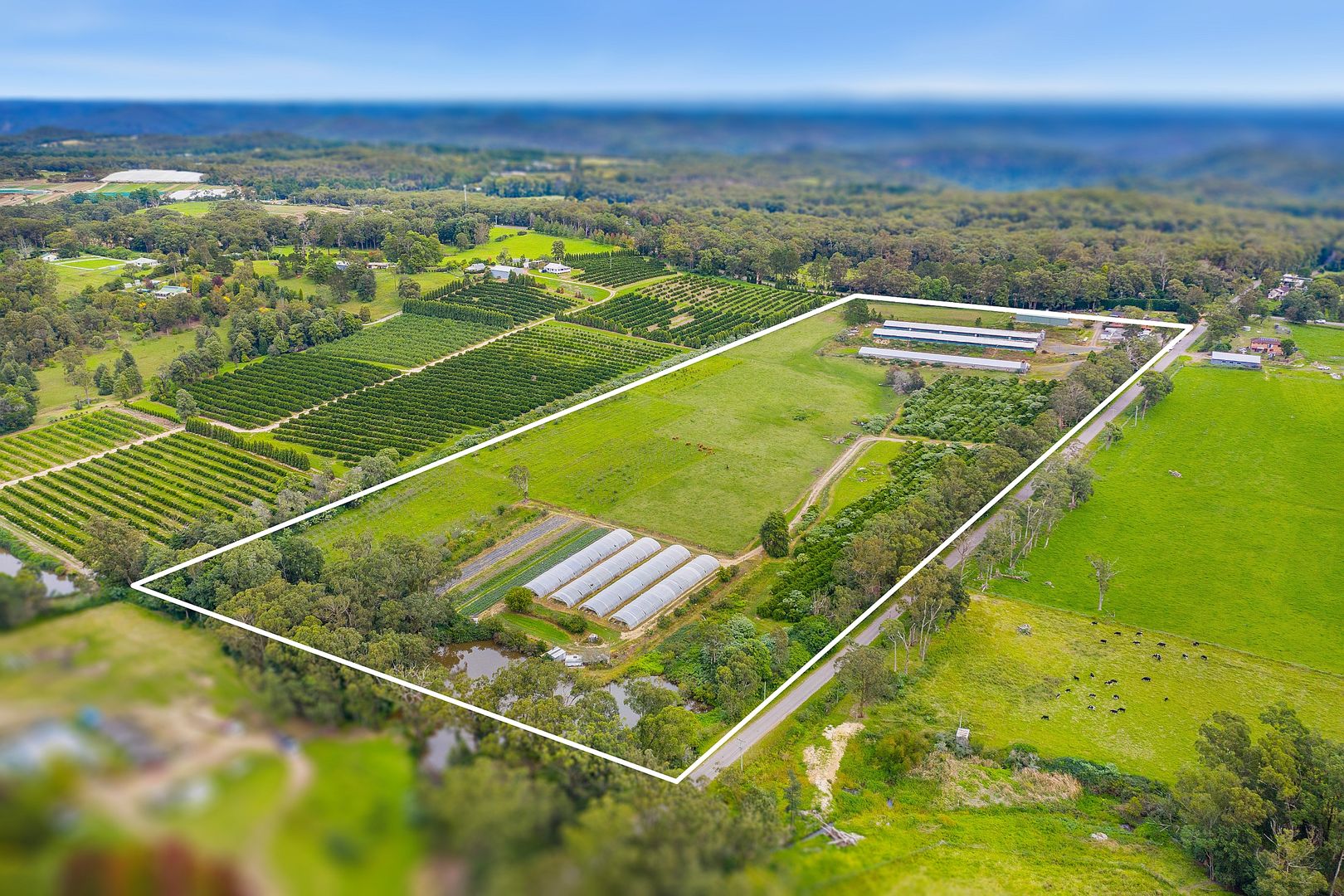 10 Lillicrapps Road, Mangrove Mountain NSW 2250