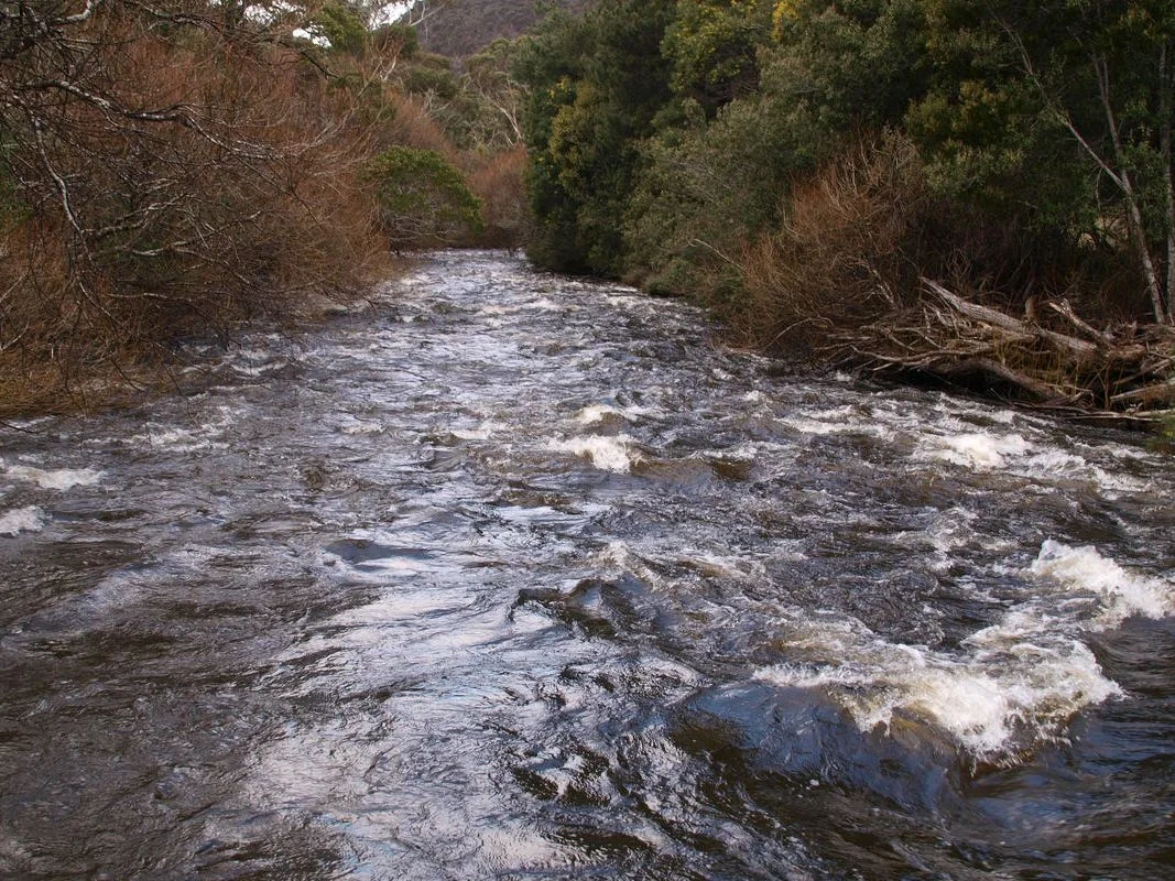 Image 20
