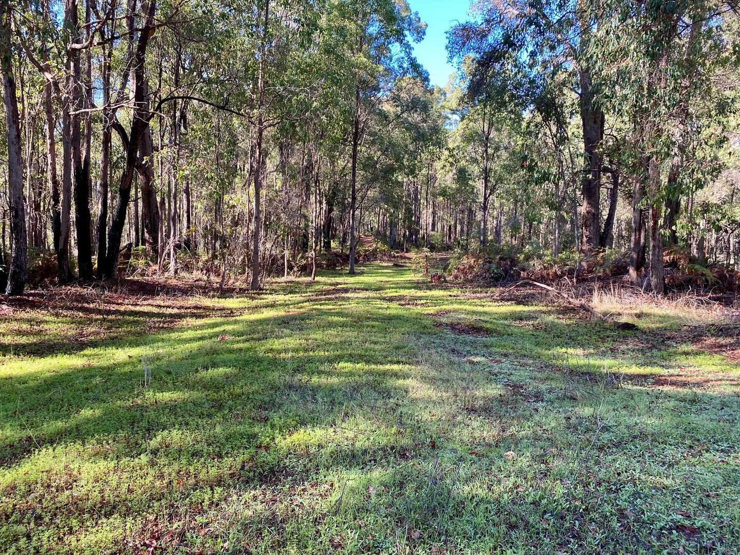 Lot 22 Oro Road, Dwellingup WA 6213, Image 2