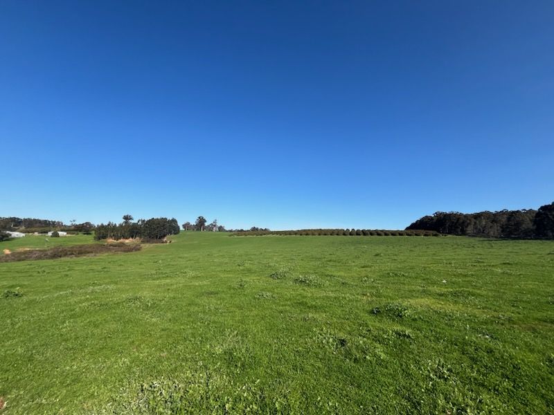 Rural in Lot 500 Pipe Clay Gully Road, MANJIMUP WA, 6258
