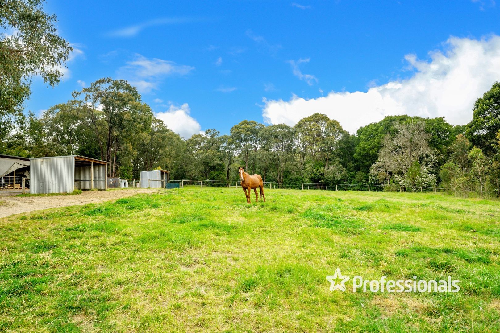 110 Parkinsons Road, Launching Place VIC 3139, Image 1