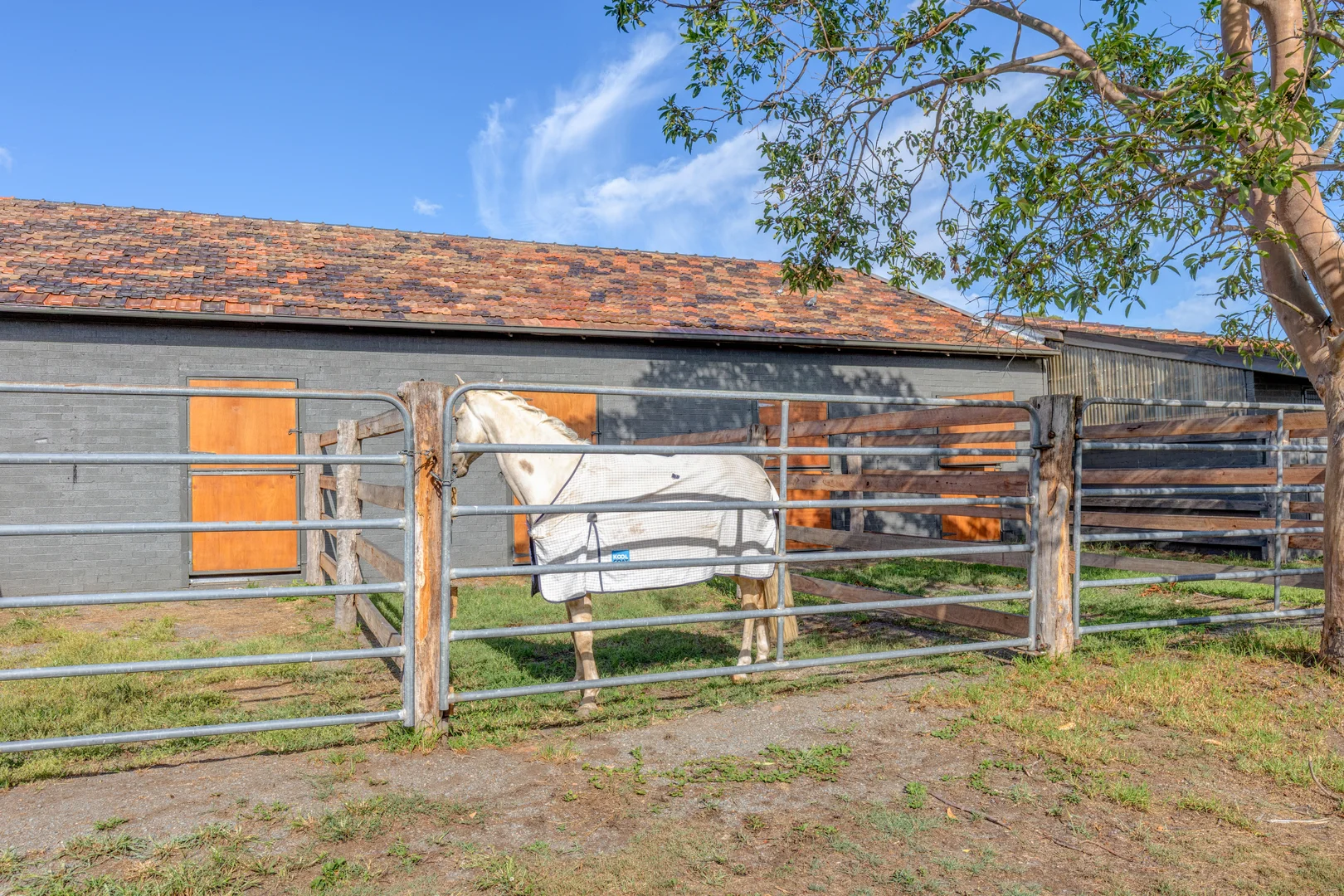 Additional image 26 of 303 Clarence Town Road, Woodville NSW 2321