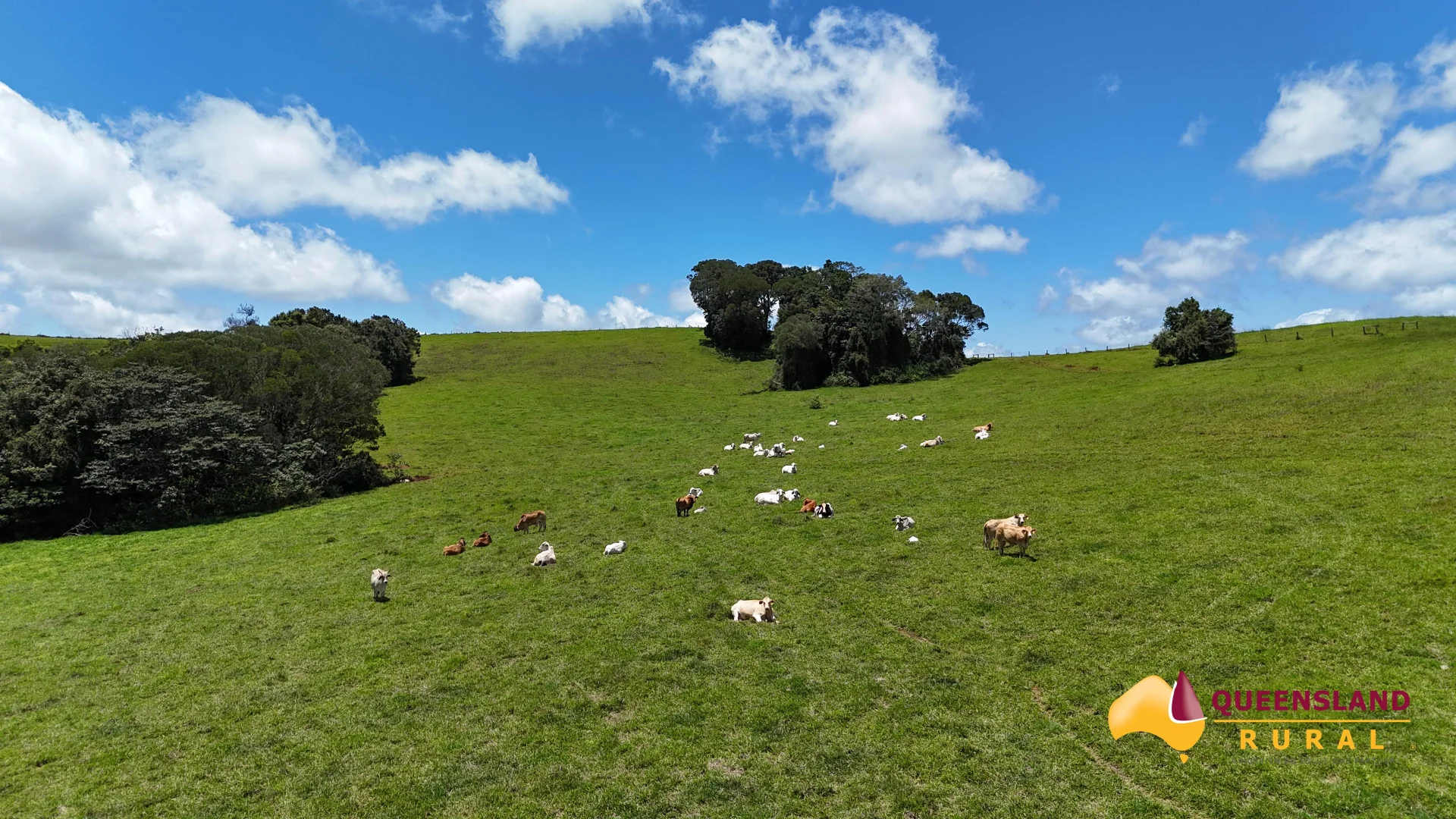 Additional image 13 of Malanda QLD 4885