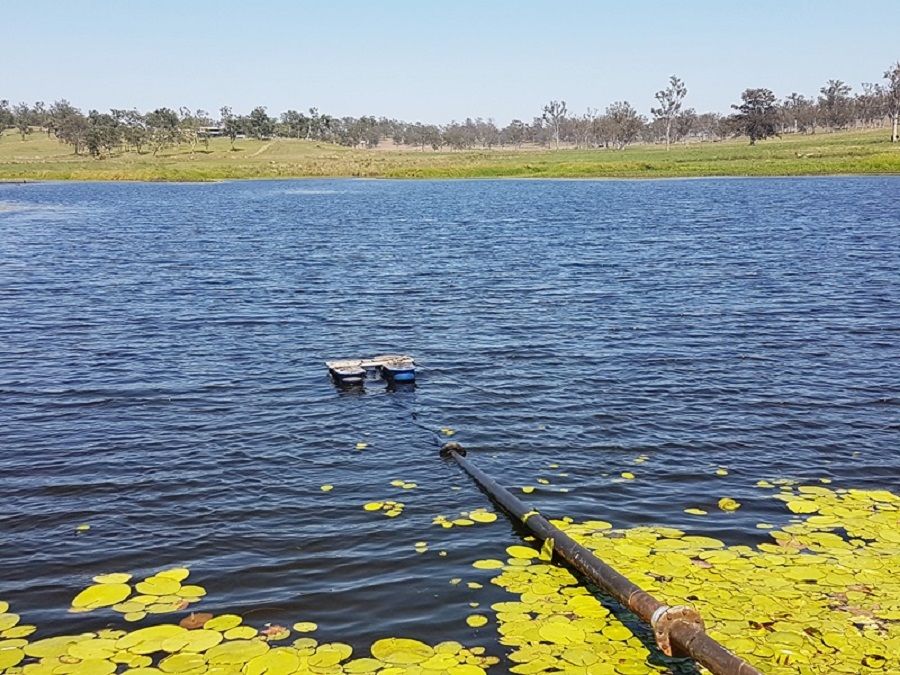 235 and 300 Clovass Road, Clovass NSW 2480 House for Sale 3,000,000