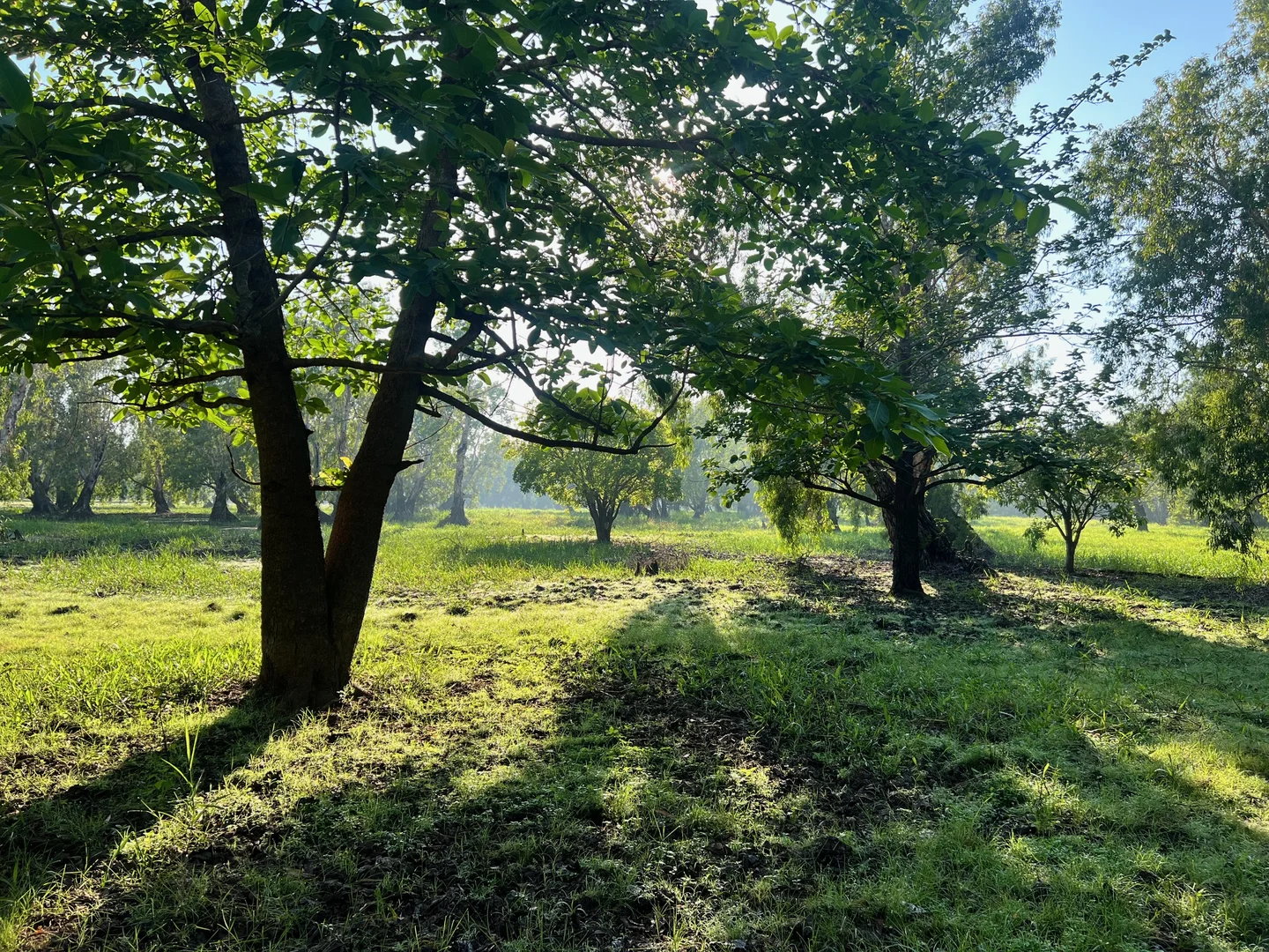 Image 10