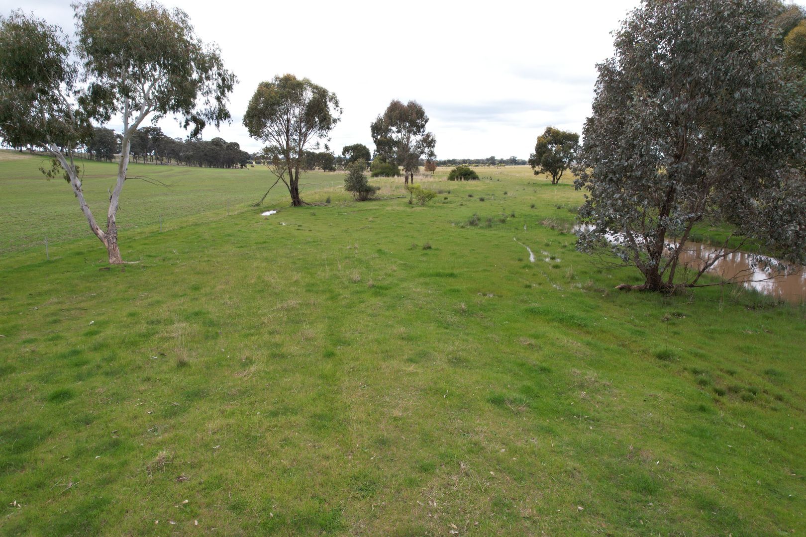 8 Dunolly-Orville Road, Murphys Creek VIC 3551, Image 2