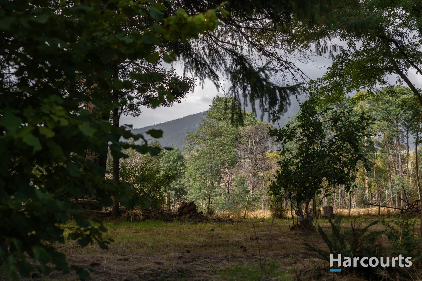 Additional image 29 of 54 Chesneys Road, Dunorlan TAS 7304