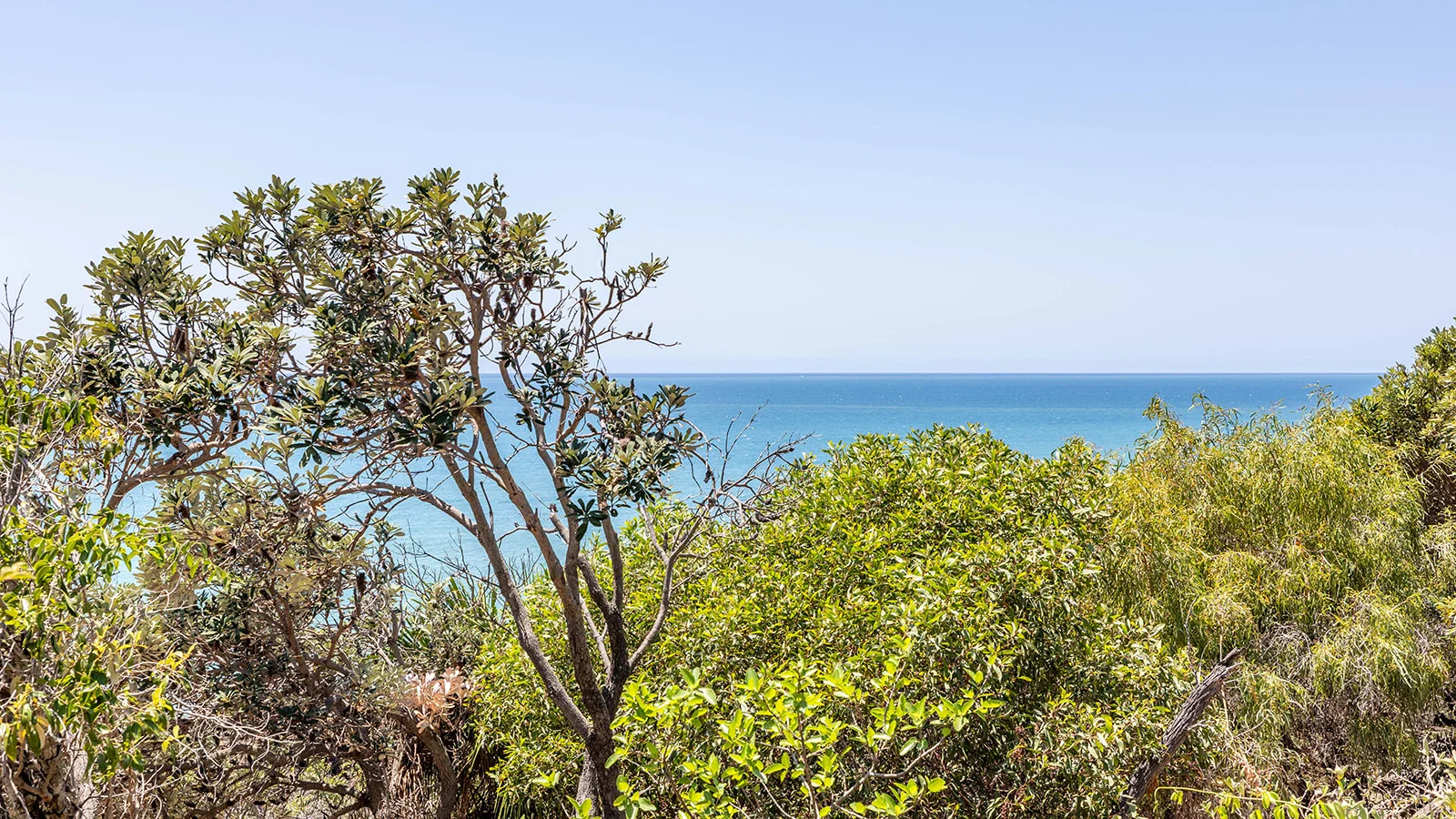 Additional image 14 of 73 Loggerhead Lane, Agnes Water QLD 4677