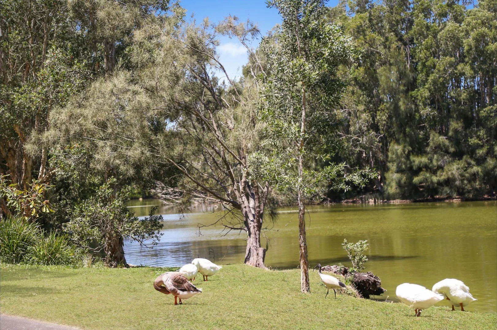 Additional image 12 of 202/18 Pemberton Street, Botany NSW 2019