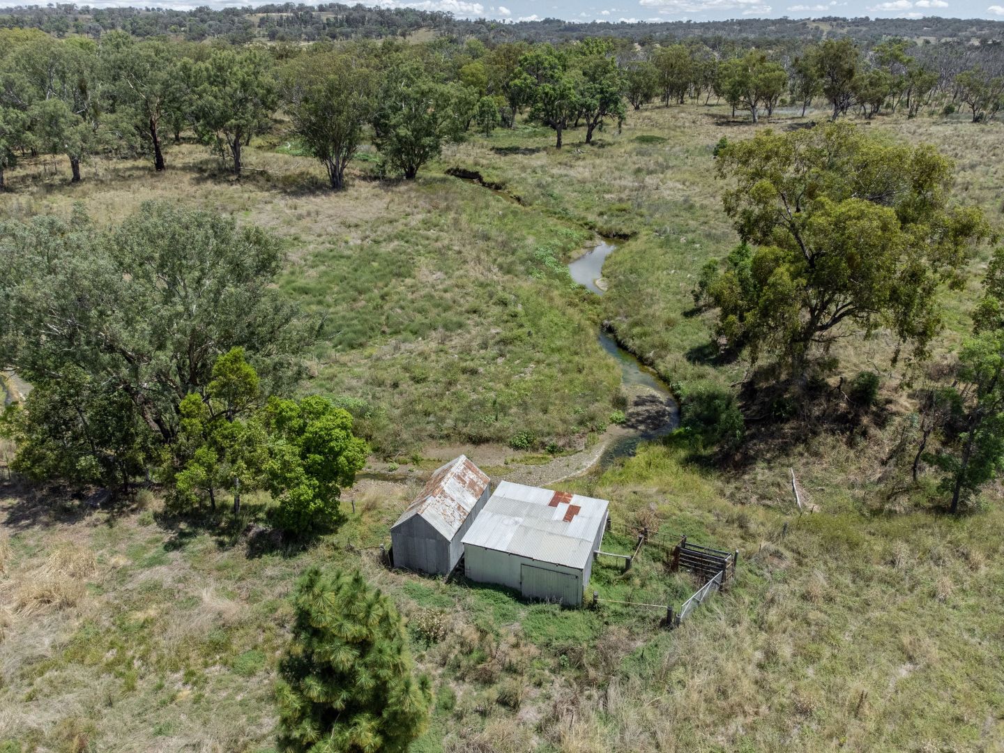 579 Cobbadah Road, Barraba NSW 2347, Image 2