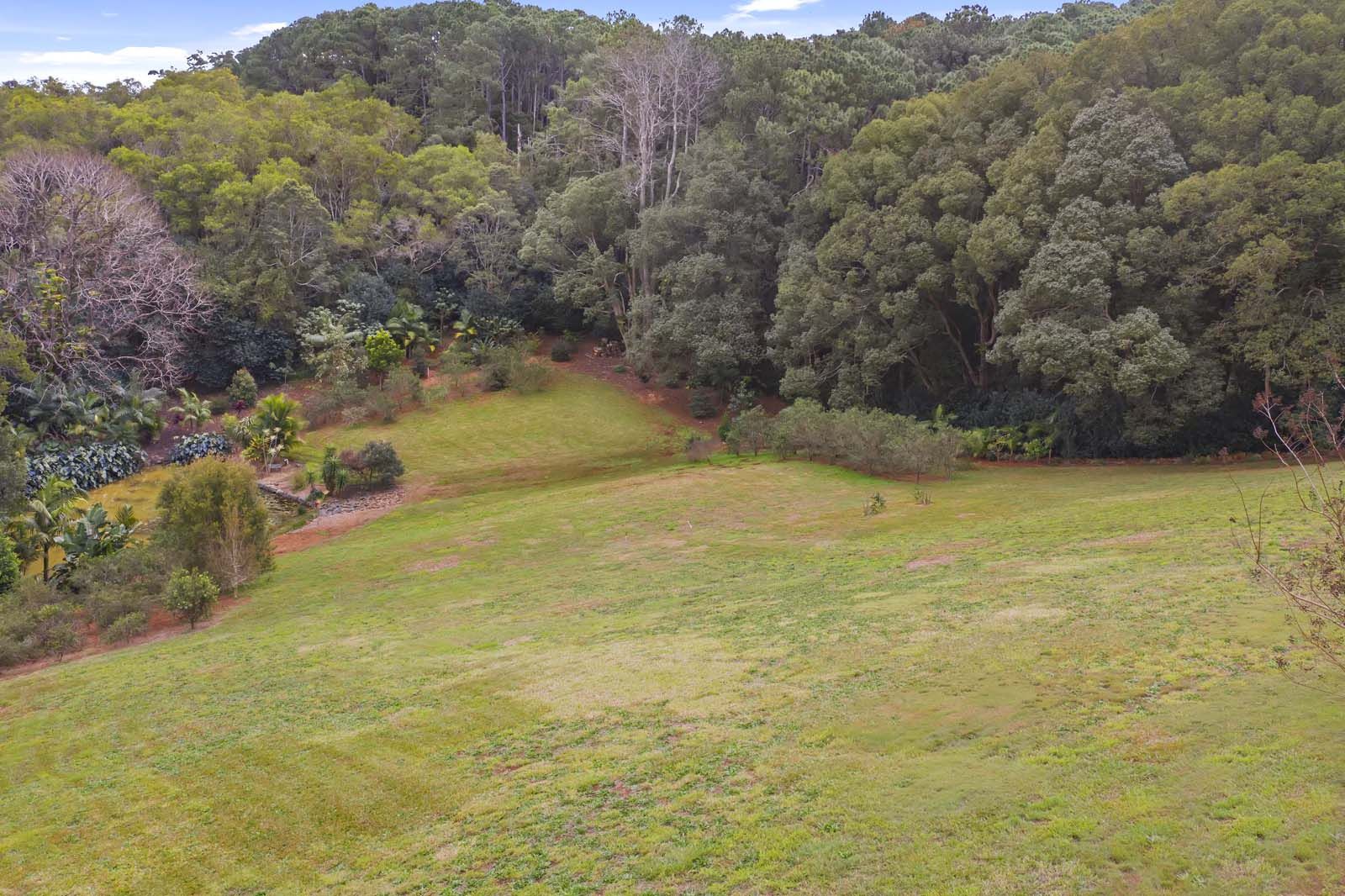 23 Hamptons Place, Montville QLD 4560, Image 2