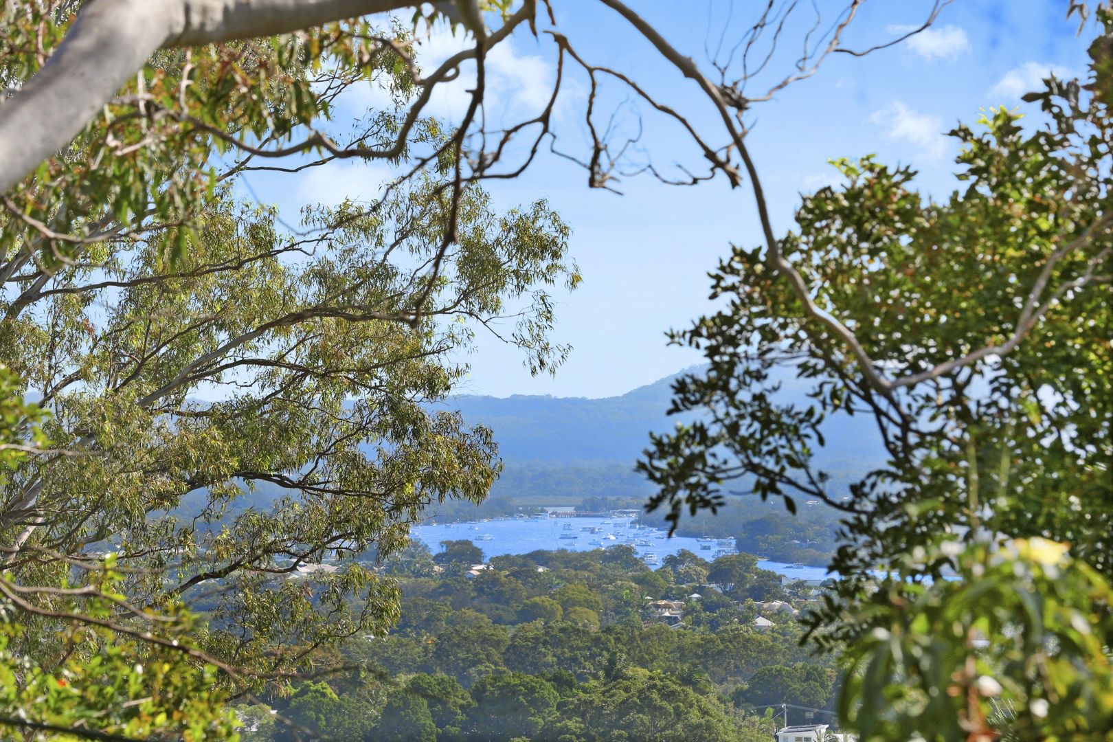 37 Nairana Rest, Noosa Heads QLD 4567, Image 1