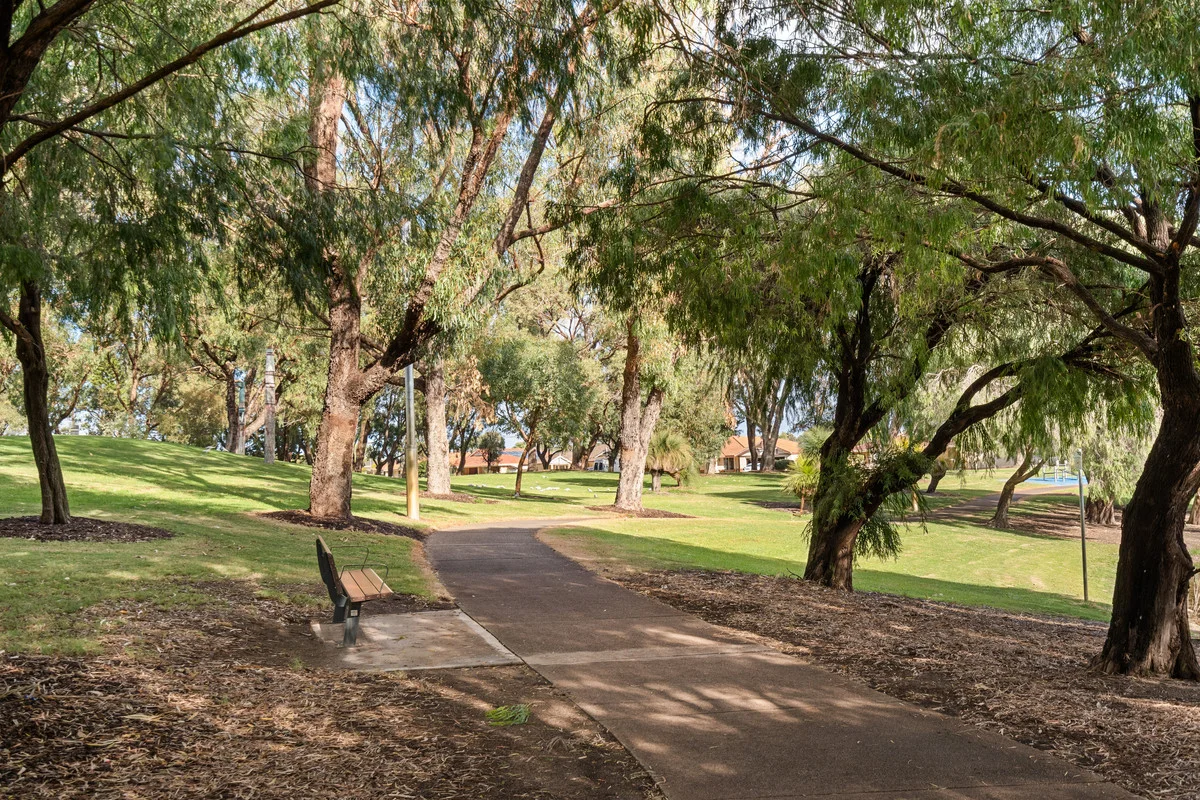 Image 17