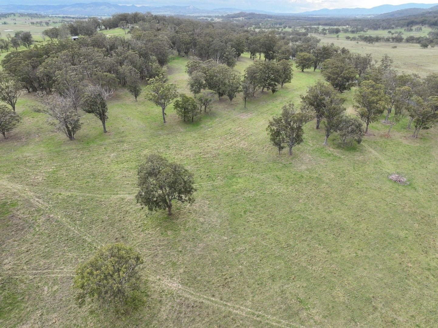 Lot 120 Black Swamp Road, Tenterfield NSW 2372, Image 0