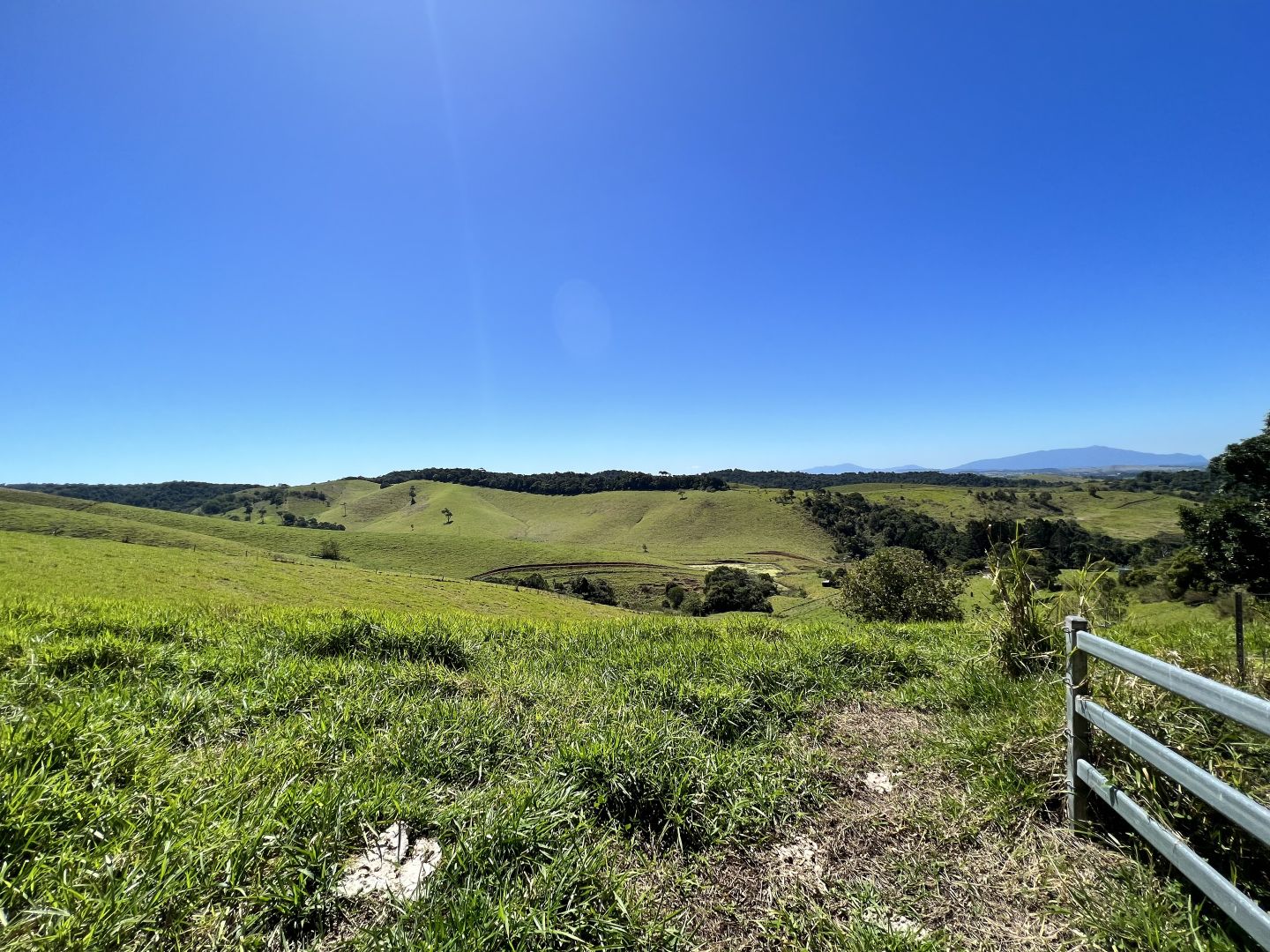 Tarzali QLD 4885 House for Sale Domain