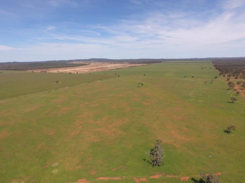 Condobolin NSW 2877, Image 0