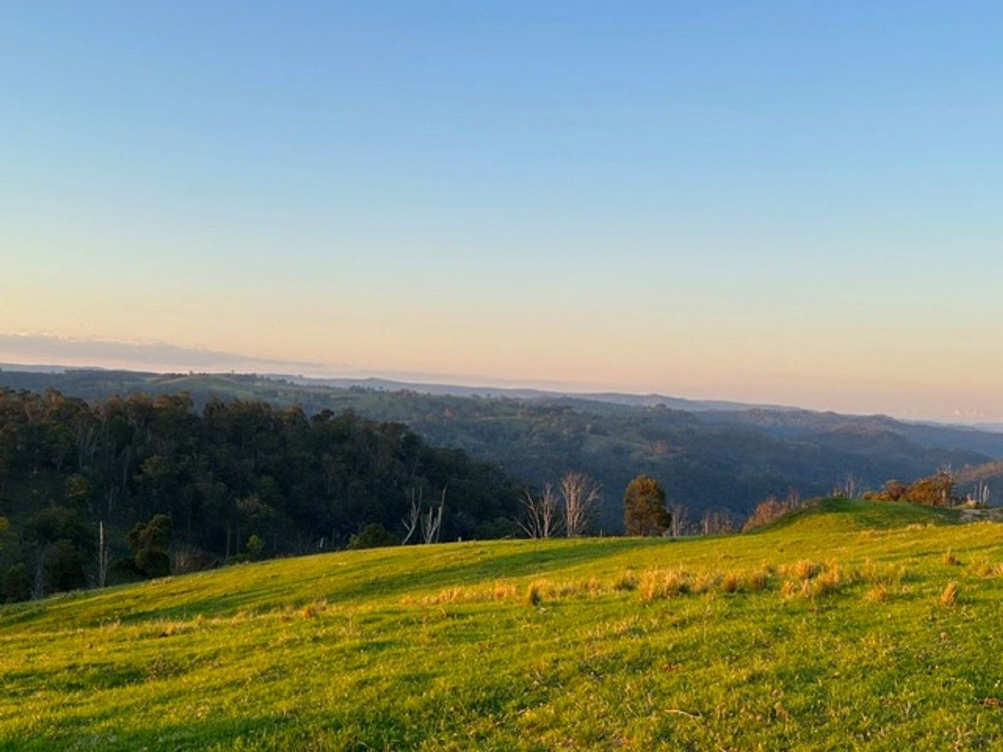 3 bedrooms Rural in 155 Daisy Mount Road TENTERFIELD NSW, 2372