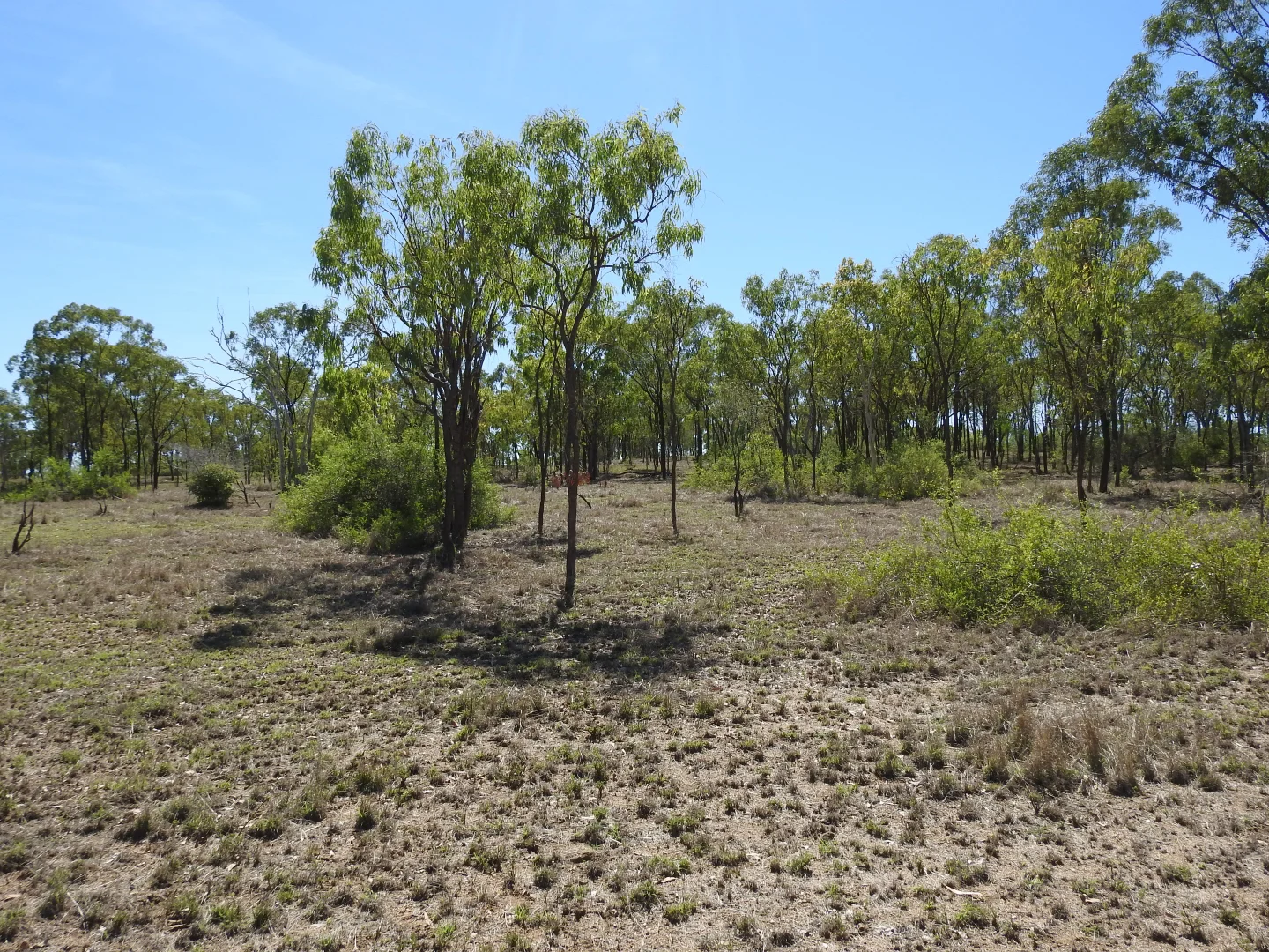 Image 15