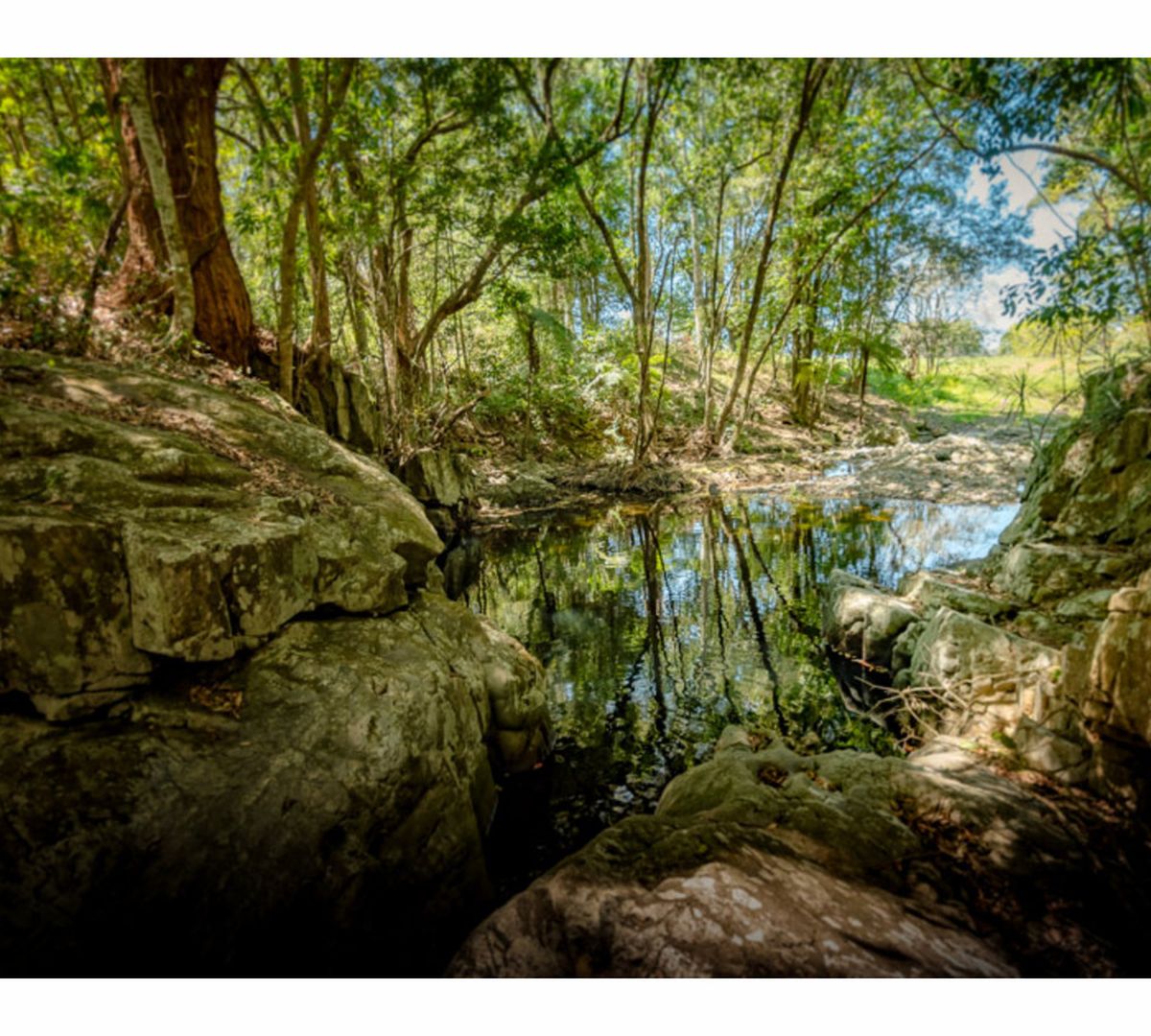 Promised Land Road, Bellingen NSW 2454 House For Sale Domain