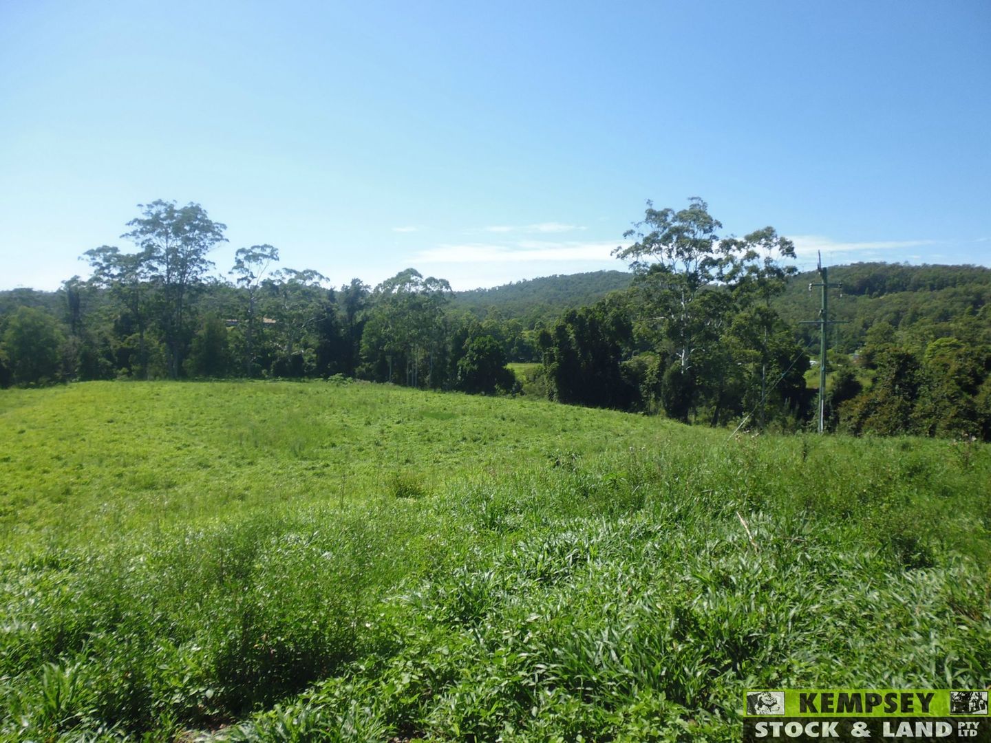 Taylors Arm NSW 2447, Image 1