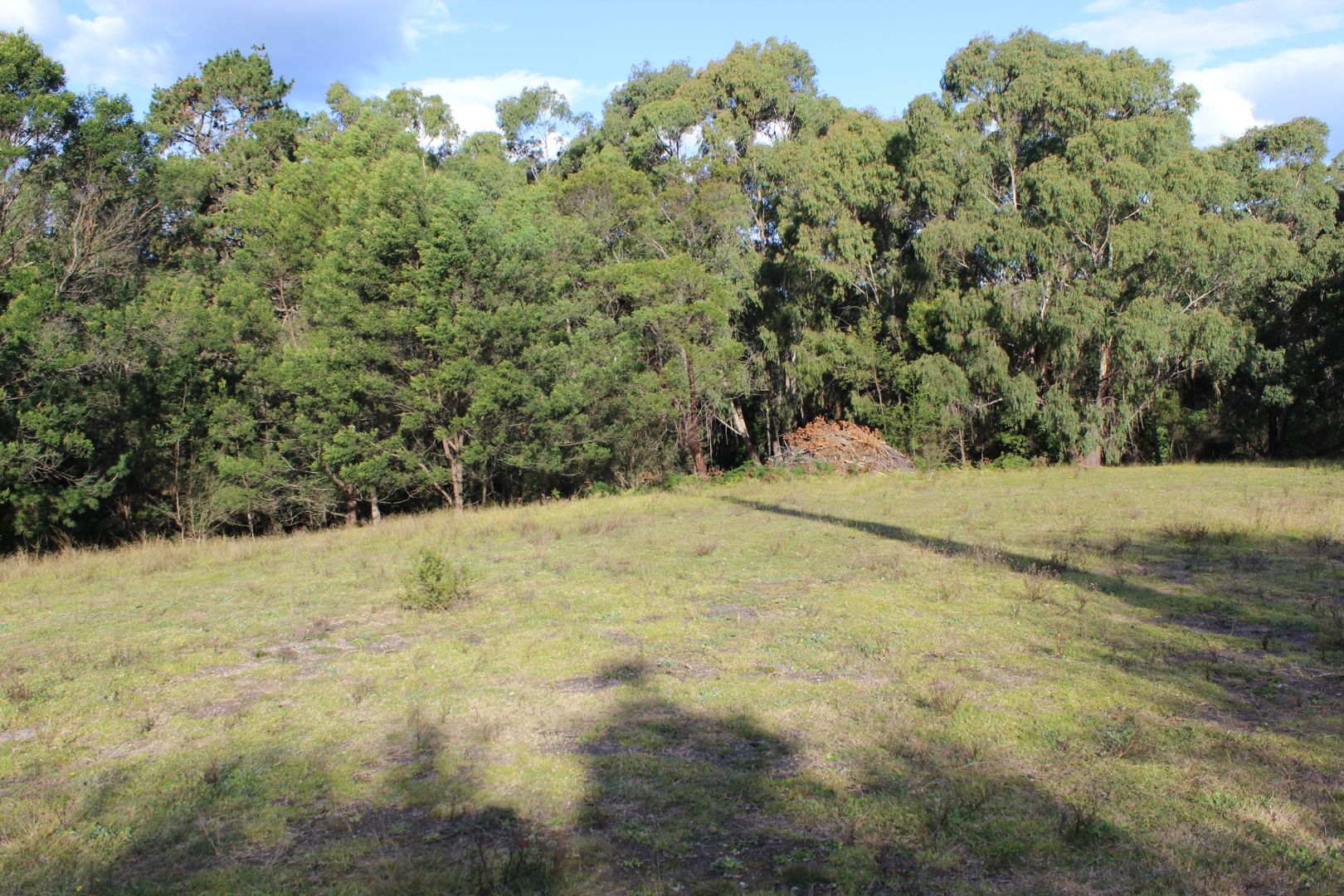 Lot 194 & 195 Princes Hwy, Wolumla NSW 2550, Image 1