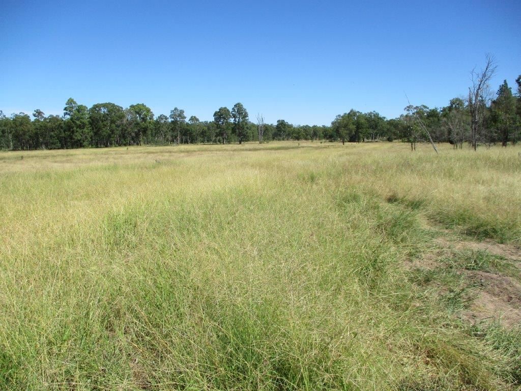 2519 ACRES GRAZING PROPERTY, Dulacca QLD 4425, Image 2