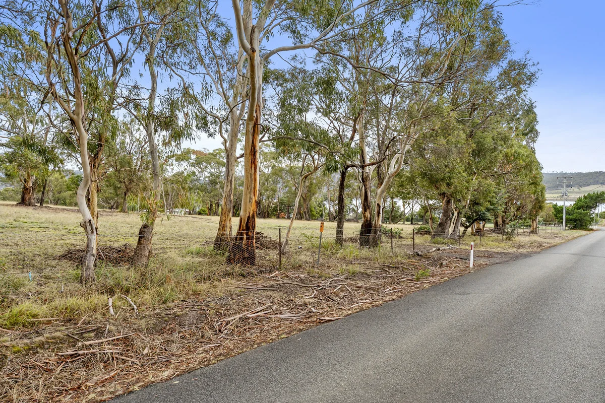 Image 13