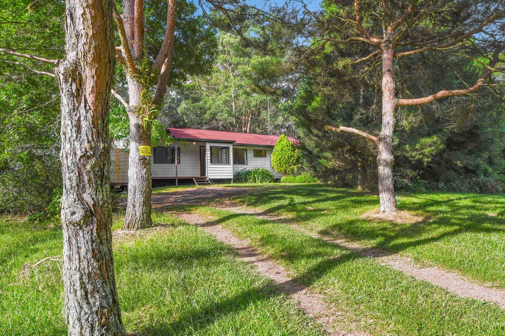 3247 Wingham Road, Comboyne NSW 2429, Image 0