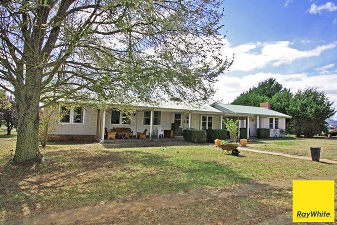 Picture of 267 Plains Road, HOSKINSTOWN NSW 2621