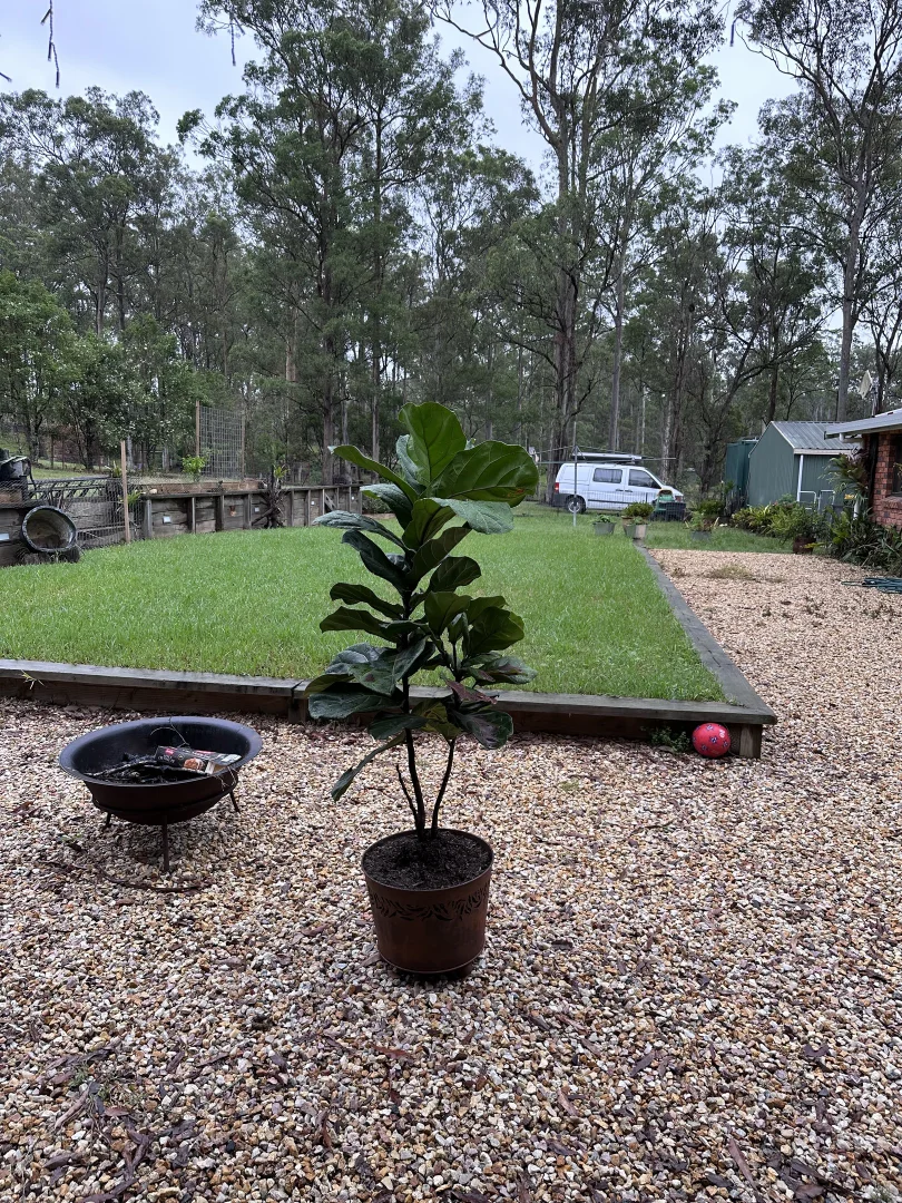 Additional image 17 of 343 Gowings Hill Road, Dondingalong NSW 2440