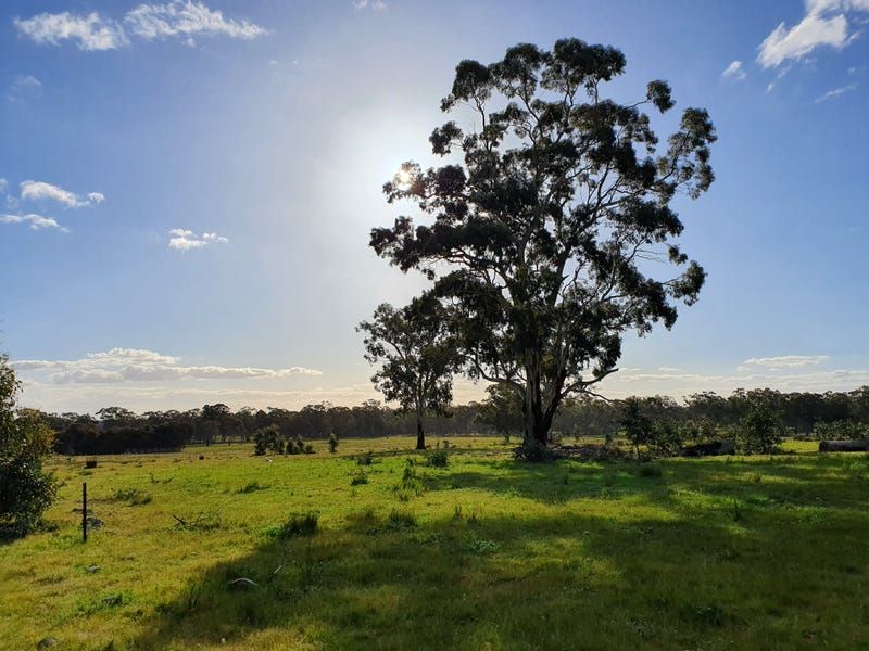 Lot 1 54 Days Road, Bailieston VIC 3608, Image 0