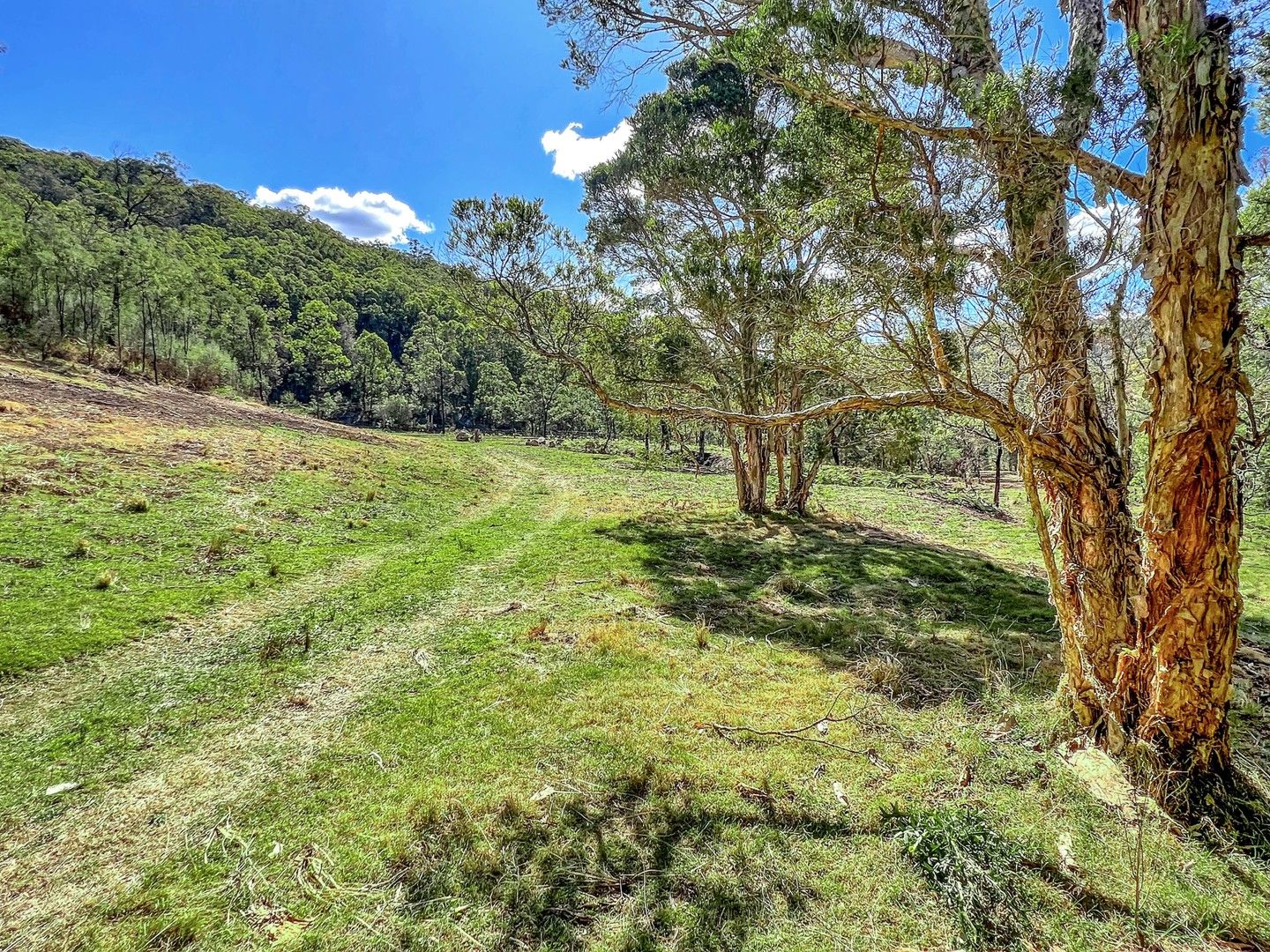 Lot B Olney Arm Road, Laguna NSW 2325, Image 2