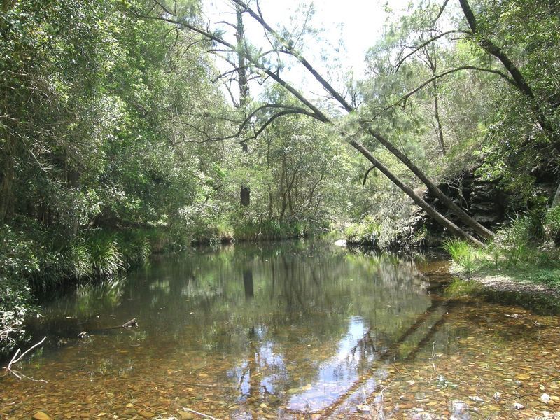 Lot 6 Dungay Creek Rd, Wittitrin NSW 2440, Image 0