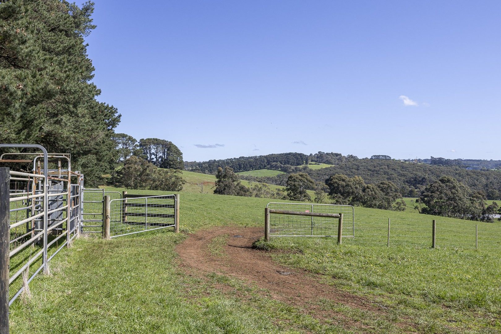 270 Red Hill Road, Red Hill VIC 3937, Image 0