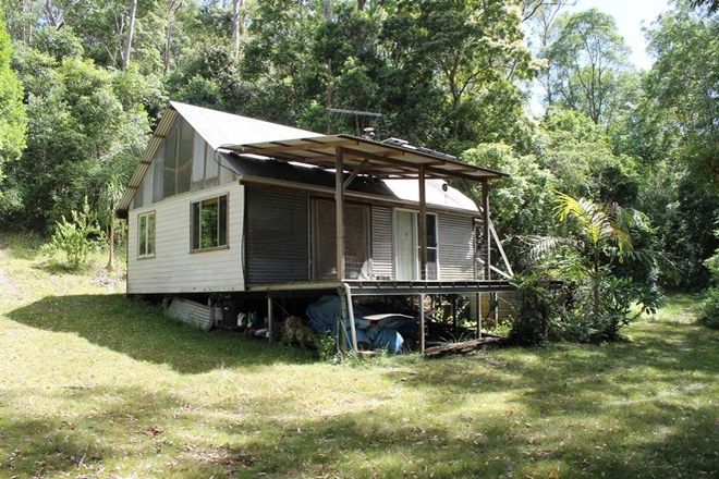 Picture of Lot 41 Roseberry Creek Road, ROSEBERRY CREEK NSW 2474