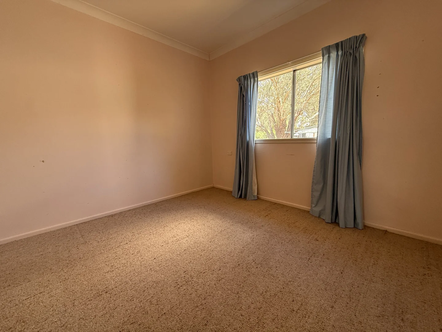 Additional image 9 of 1791 Birbbaree Road, Thuddungra via, Young NSW 2594