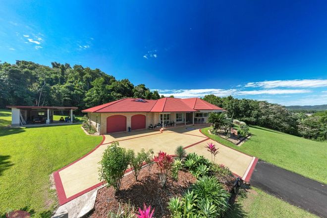 Picture of 785 Old Tully Rd, DJARAWONG QLD 4854