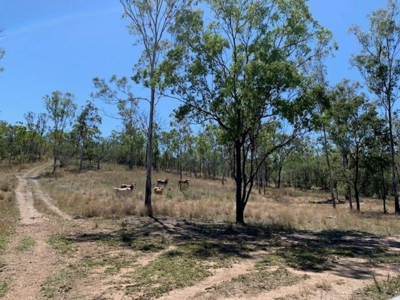 Rural in Lots 60 & 61 Neil Creek Road, CALLIOPE QLD, 4680
